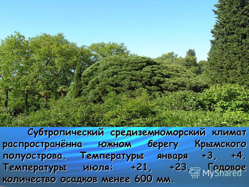 Субтропический средиземноморский климат распространённа южном берегу Крымского полуострова. Температуры января +3, +4. Температуры июля: +21, +23. Годовое количество осадков менее 600 мм.