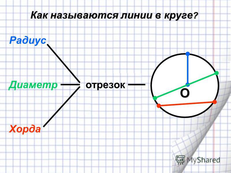 Как называются линии в круге ? Радиус Диаметр отрезок Хорда О