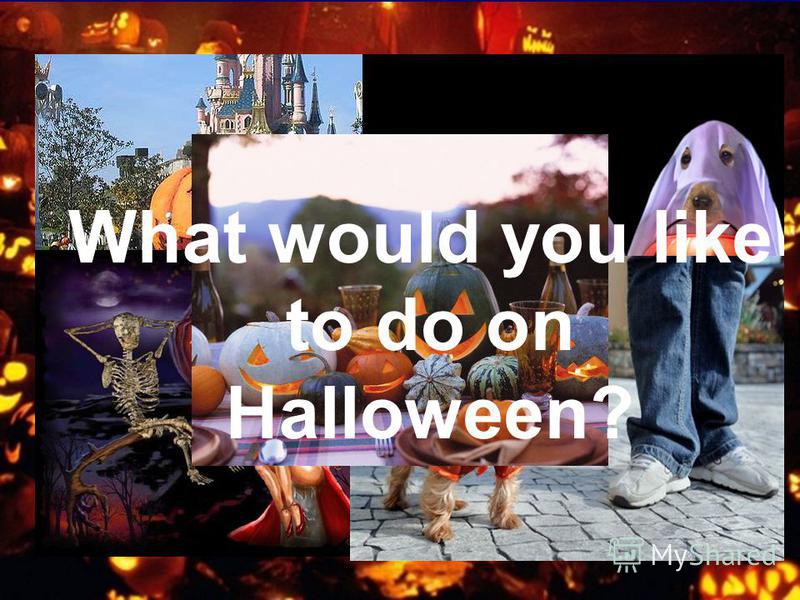 What would you like to do on Halloween?