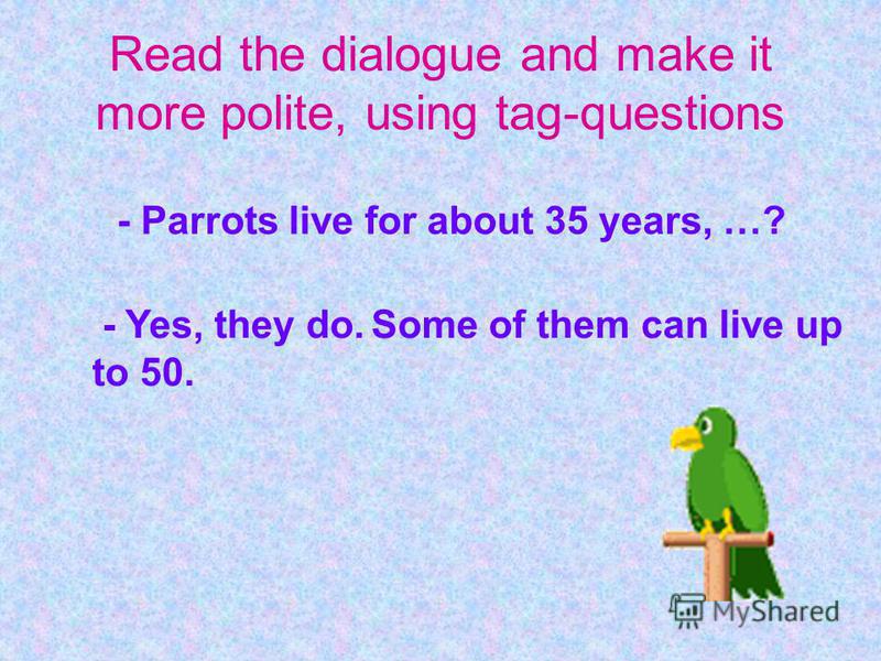 - Parrots live for about 35 years, …? - Yes, they do. Some of them can live up to 50.