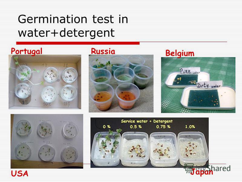 Germination test in water+detergent Japan RussiaPortugal Belgium USA
