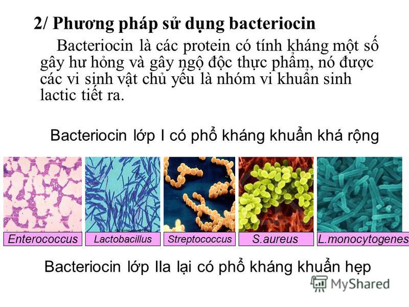 2/ Phương pháp s dng bacteriocin Bacteriocin là các protein có tính kháng mt s gây hư hng và gây ng đc thc phm, nó đưc các vi sinh vt ch yu là nhóm vi khun sinh lactic tit ra. Bacteriocin lp I có ph kháng khun khá rng Enterococcus Lactobacillus Bacte