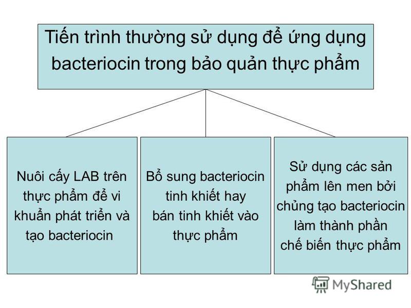 Tin trình thưng s dng đ ng dng bacteriocin trong bo qun thc phm Nuôi cy LAB trên thc phm đ vi khun phát trin và to bacteriocin B sung bacteriocin tinh khit hay bán tinh khit vào thc phm S dng các sn phm lên men bi chng to bacteriocin làm thành phn ch