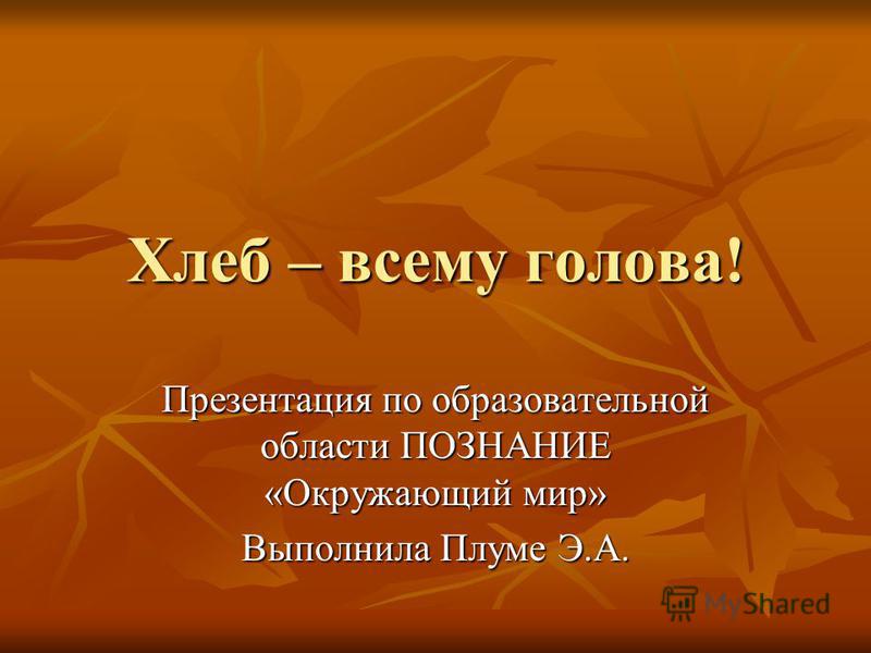 Дидактический Материал Познаем Окружающий Мир