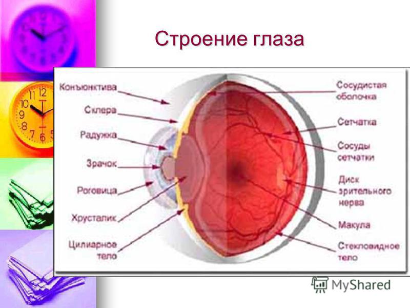 С каким зрением можно делать лазерную коррекцию зрения