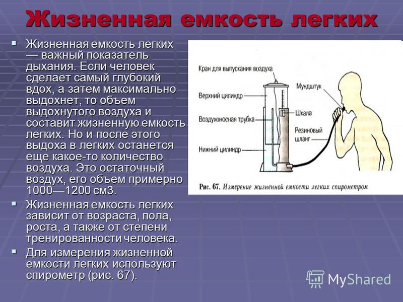 Конспект урока по теме функциональные возможности дыхательной системы 8 класс класс