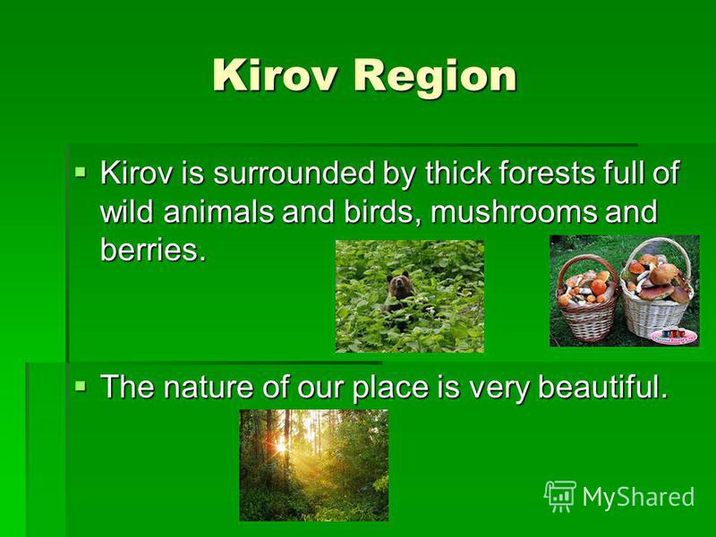 Kirov Region Kirov is surrounded by thick forests full of wild animals and birds, mushrooms and berries. Kirov is surrounded by thick forests full of wild animals and birds, mushrooms and berries. The nature of our place is very beautiful. The nature