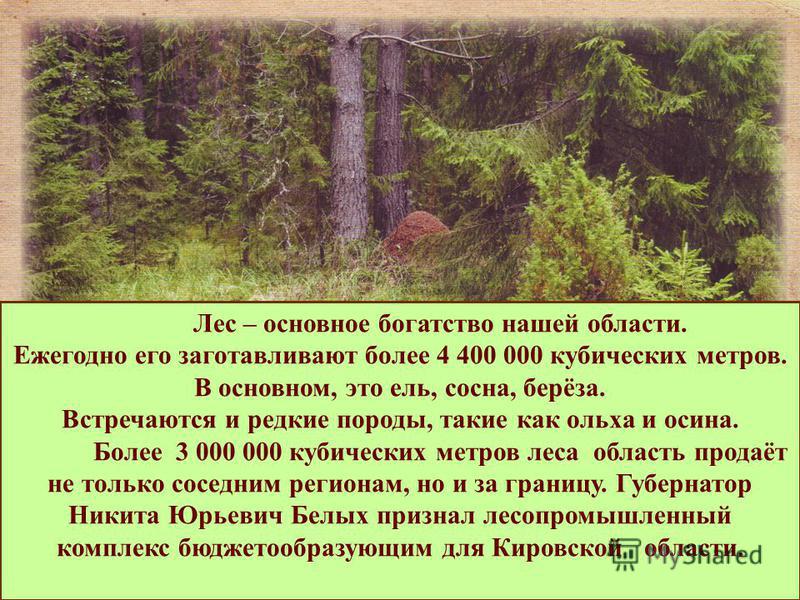 Лес – основное богатство нашей области. Ежегодно его заготавливают более 4 400 000 кубических метров. В основном, это ель, сосна, берёза. Встречаются и редкие породы, такие как ольха и осина. Более 3 000 000 кубических метров леса область продаёт не 