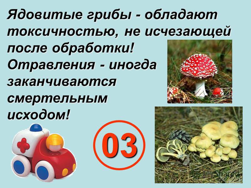 Ядовитые грибы - обладают токсичностью, не исчезающей после обработки! Отравления - иногда заканчиваются смертельным исходом! 03