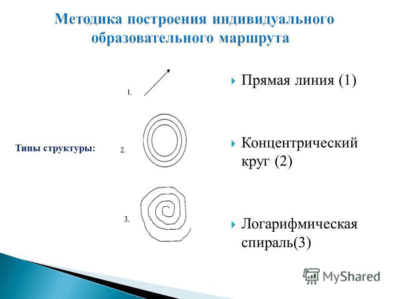 Прямая линия (1) Концентрический круг (2) Логарифмическая спираль(3) Типы структуры: