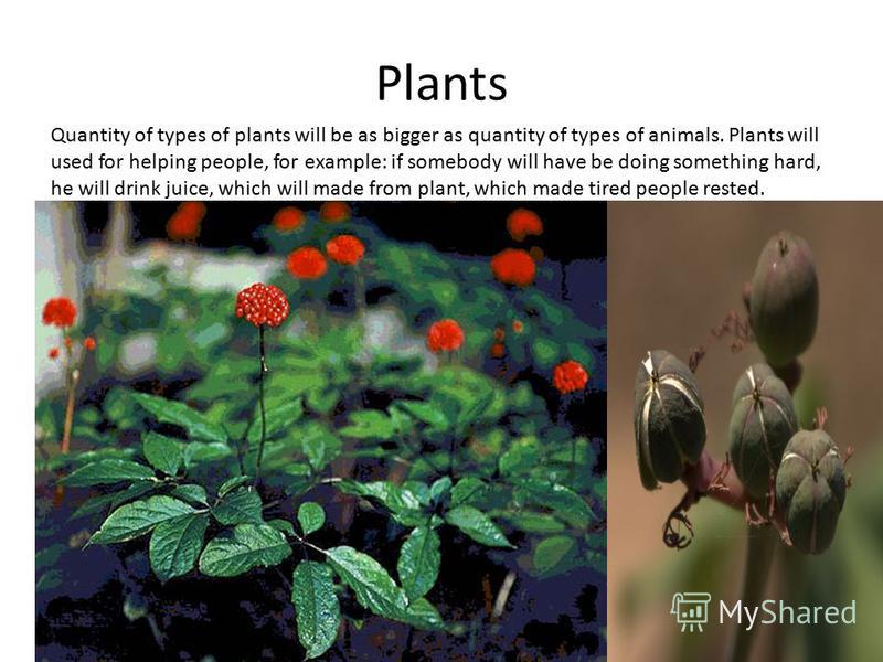 Plants Quantity of types of plants will be as bigger as quantity of types of animals. Plants will used for helping people, for example: if somebody will have be doing something hard, he will drink juice, which will made from plant, which made tired p
