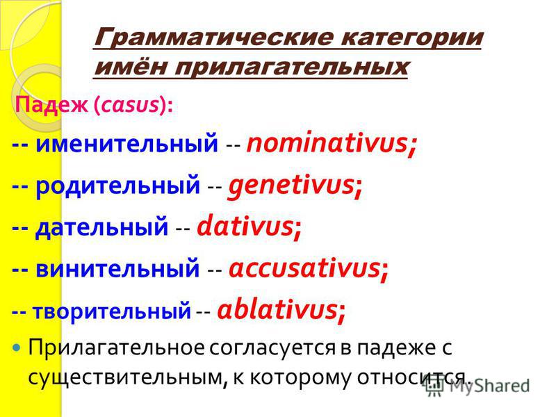 Грамматические категории имён прилагательных Падеж (casus): -- именительный -- nominativus; -- родительный -- genetivus; -- дательный -- dativus; -- винительный -- accusativus; -- творительный -- ablativus; Прилагательное согласуется в падеже с сущес