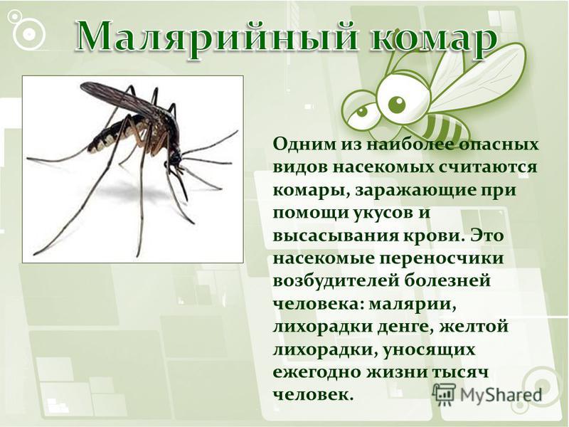Одним из наиболее опасных видов насекомых считаются комары, заражающие при помощи укусов и высасывания крови. Это насекомые переносчики возбудителей болезней человека: малярии, лихорадки денге, желтой лихорадки, уносящих ежегодно жизни тысяч человек.