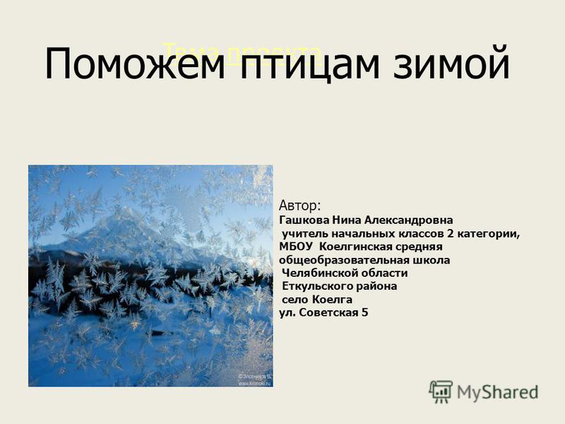 Тема проекта Автор: Гашкова Нина Александровна учитель начальных классов 2 категории, МБОУ Коелгинская средняя общеобразовательная школа Челябинской области Еткульского района село Коелга ул. Советская 5 Поможем птицам зимой