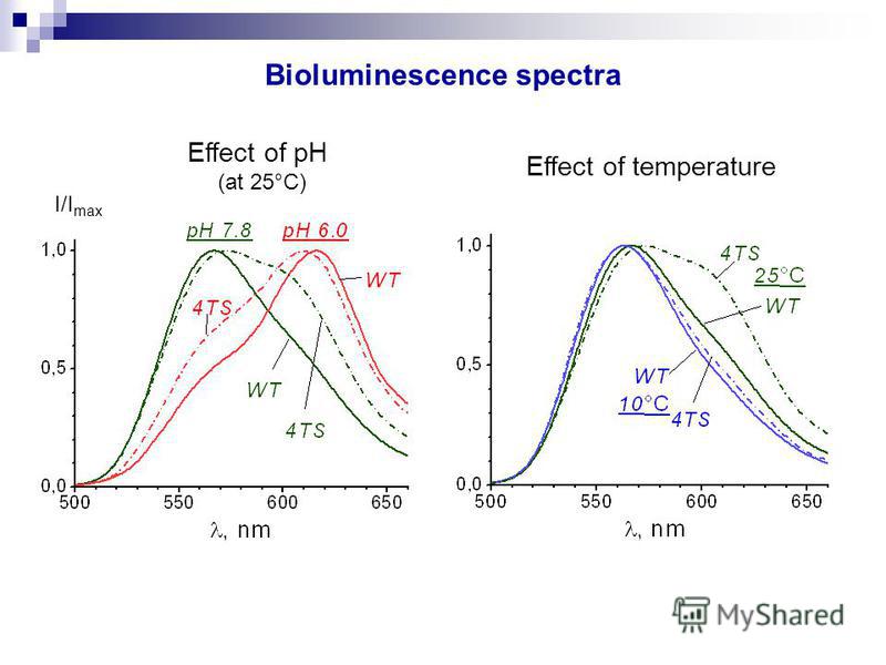Bioluminescence spectra I/I max Effect of pH (at 25°C) Effect of temperature