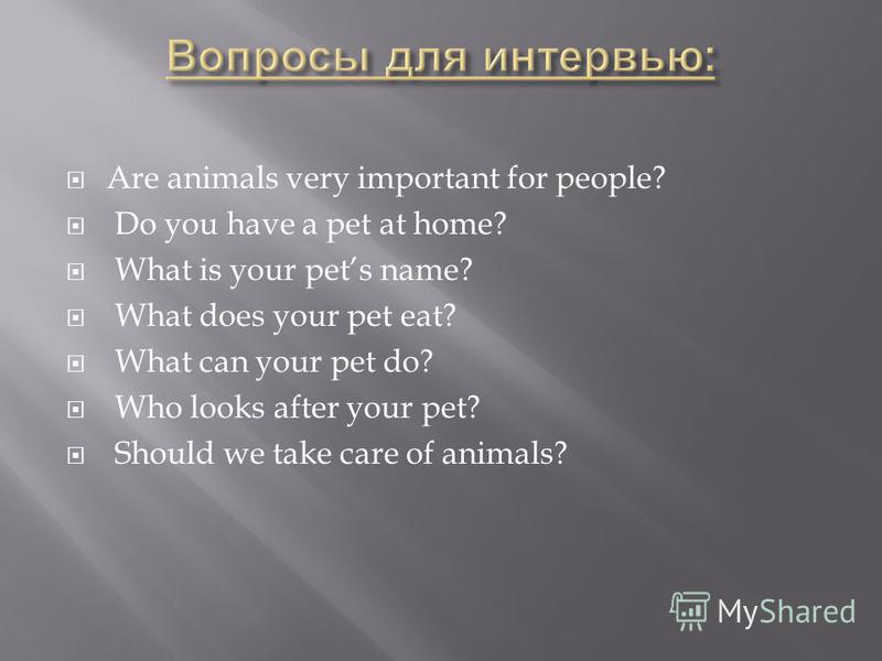 Are animals very important for people? Do you have a pet at home? What is your pets name? What does your pet eat? What can your pet do? Who looks after your pet? Should we take care of animals?