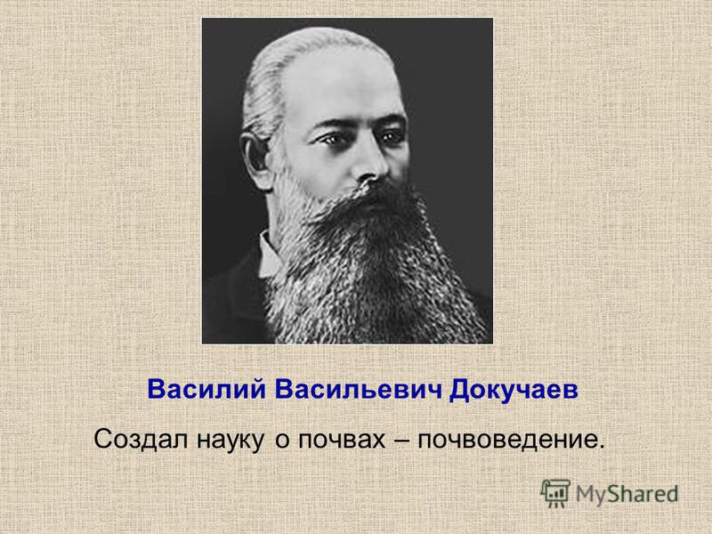 Василий Васильевич Докучаев Создал науку о почвах – почвоведение.