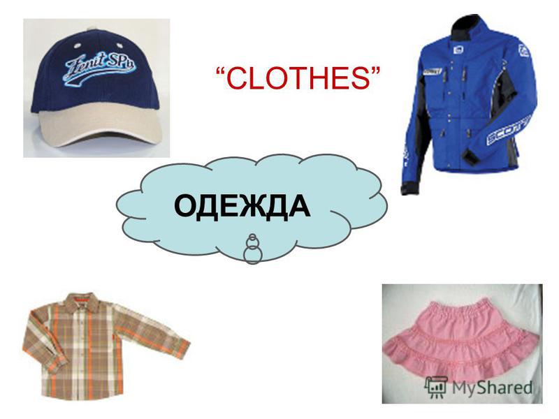 ОДЕЖДА CLOTHES