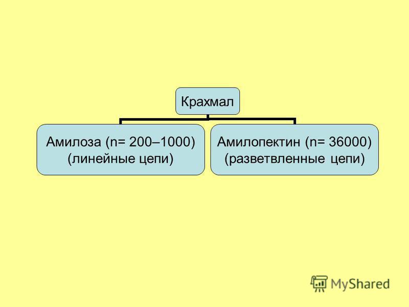 Крахмал Амилоза (n= 200– 1000) (линейные цепи) Амилопектин (n= 36000) (разветвленные цепи)