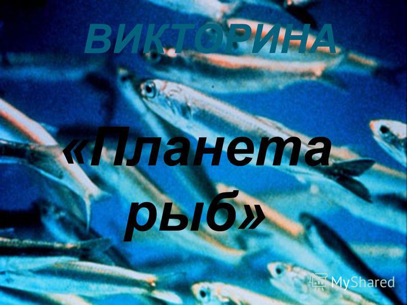 «Планета рыб» ВИКТОРИНА