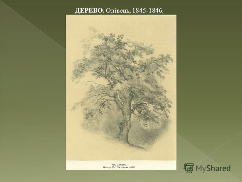 ДЕРЕВО. Олівець, 1845-1846.