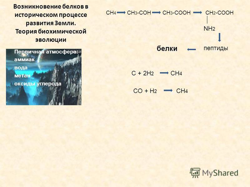 Возникновение белков в историческом процессе развития Земли. Теория биохимической эволюции Первичная атмосфера: аммиак вода метан оксиды углерода CH 4 CH 3 -COH CH 3 -COOH CH 2 -COOH пептиды белки NH 2 CH 4 C + 2H 2 CO + H 2 CH 4