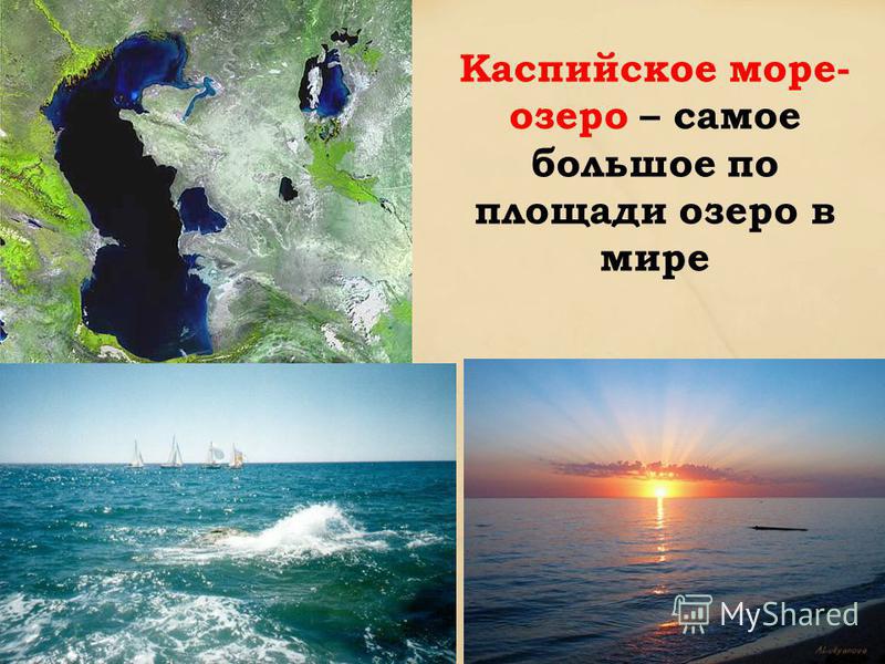 Каспийское море- озеро – самое большое по площади озеро в мире