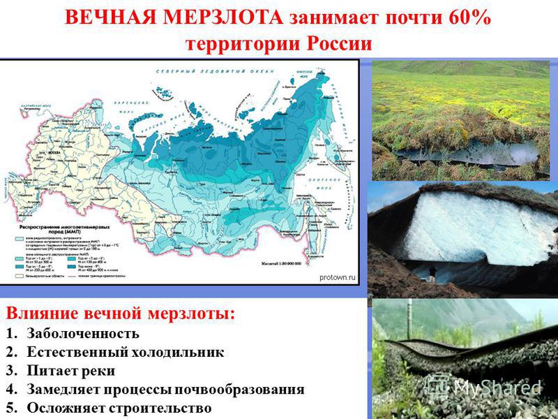 ВЕЧНАЯ МЕРЗЛОТА занимает почти 60% территории России Влияние вечной мерзлоты: 1. Заболоченность 2. Естественный холодильник 3. Питает реки 4. Замедляет процессы почвообразования 5. Осложняет строительство