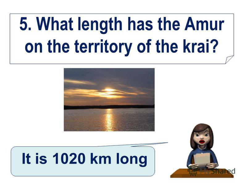 5. What length has the Amur on the territory of the krai? It is 1020 km long