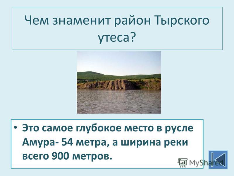 Чем знаменит район Тырского утеса? Это самое глубокое место в русле Амура- 54 метра, а ширина реки всего 900 метров.