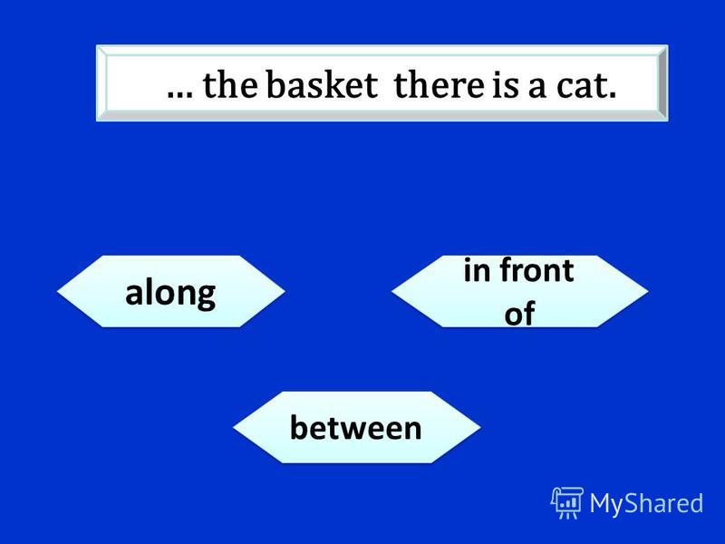 along in front of between … the basket there is a cat.