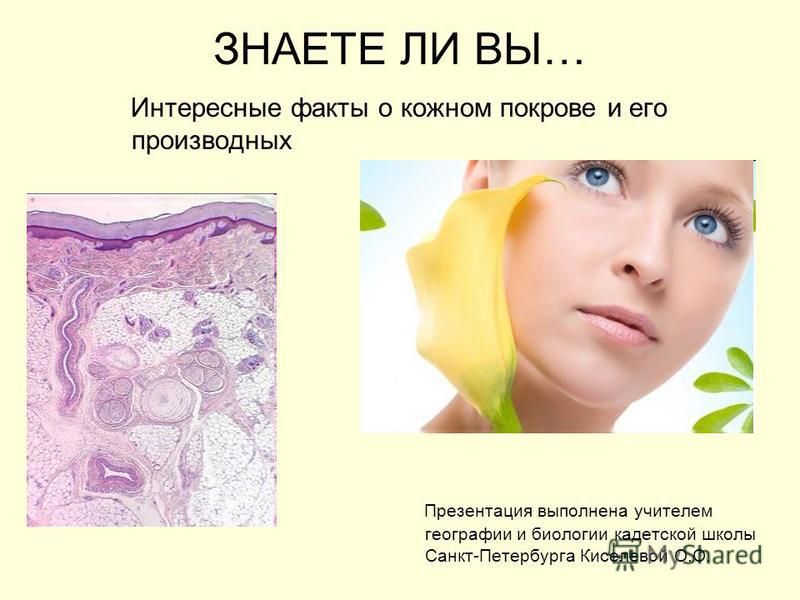 Все о коже самое интересное Все о коже самое интересное