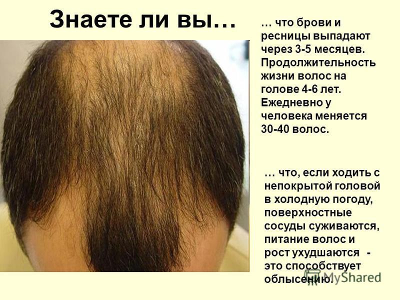 Знаете ли вы… … что брови и ресницы выпадают через 3-5 месяцев. Продолжительность жизни волос на голове 4-6 лет. Ежедневно у человека меняется 30-40 волос. … что, если ходить с непокрытой головой в холодную погоду, поверхностные сосуды суживаются, пи