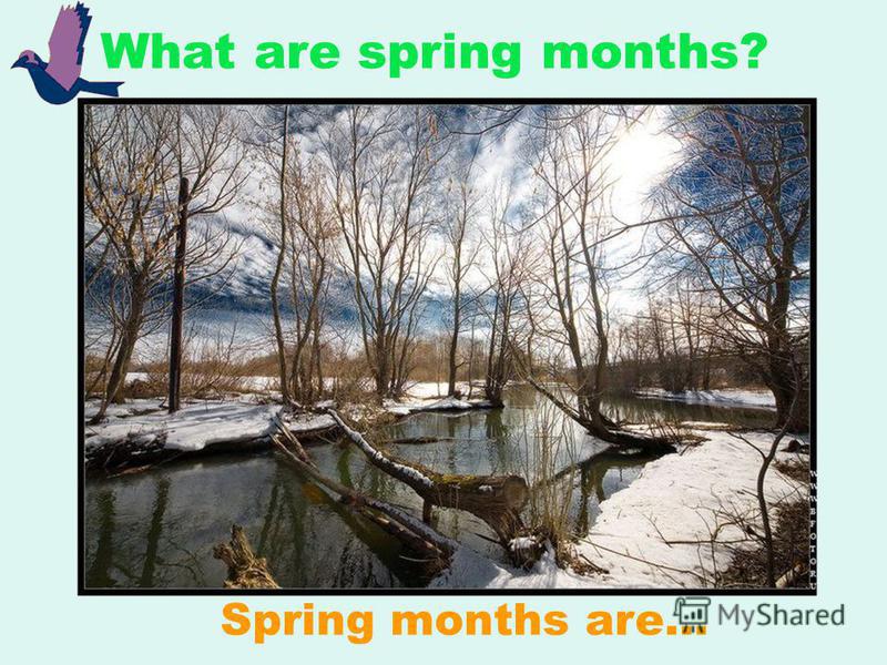 What are spring months? Spring months are…