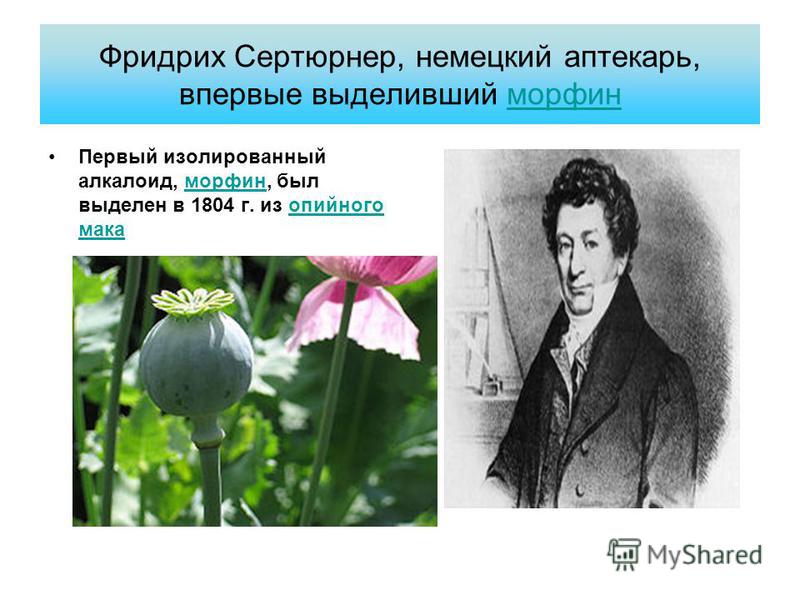 Фридрих Сертюрнер, немецкий аптекарь, впервые выделивший морфинморфин Первый изолированный алкалоид, морфин, был выделен в 1804 г. из опийного макаморфинопийного мака