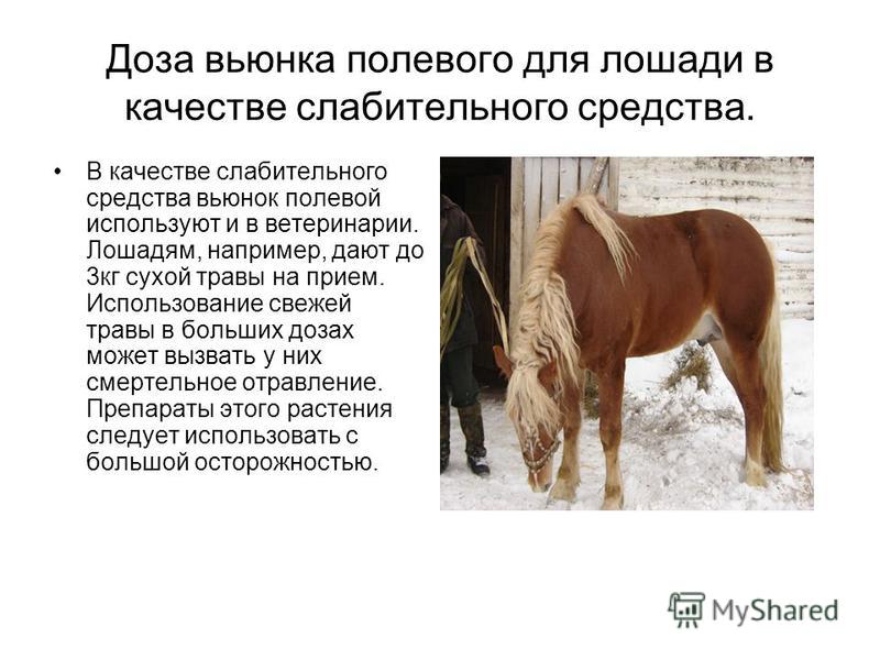 прием слабительного для очищения кишечника прием слабительного для очищения кишечника