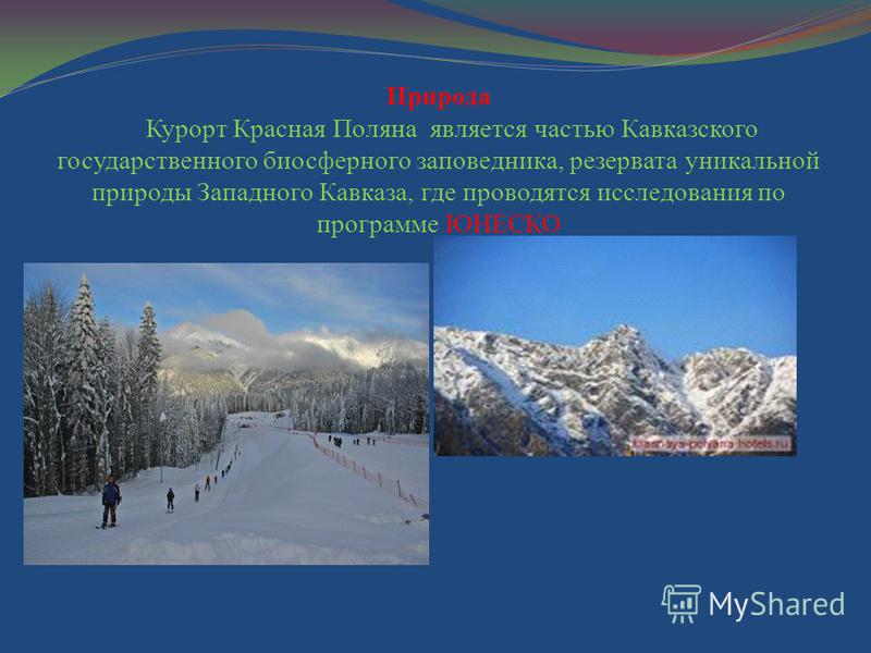 Природа Курорт Красная Поляна является частью Кавказского государственного биосферного заповедника, резервата уникальной природы Западного Кавказа, где проводятся исследования по программе ЮНЕСКО