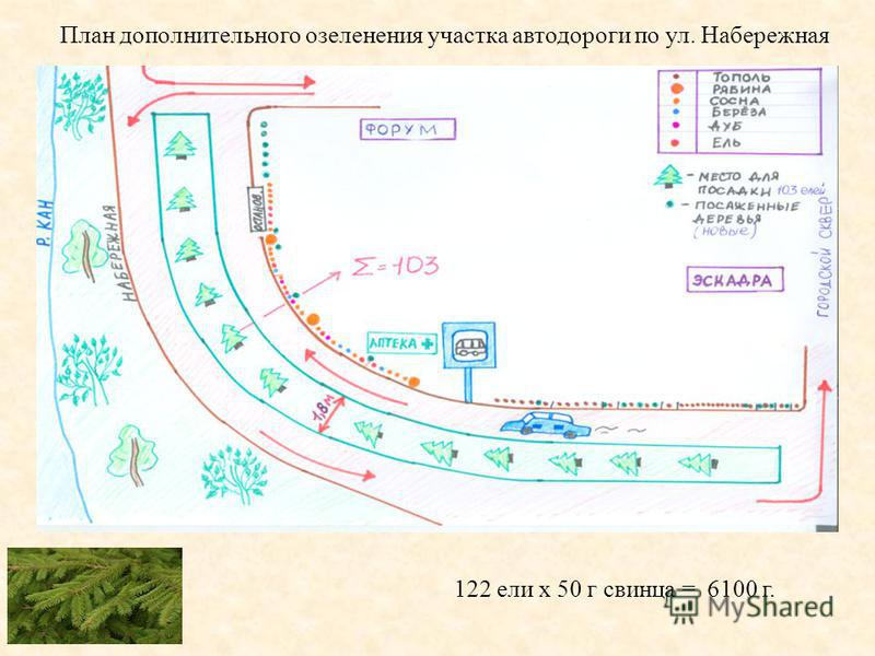 План дополнительного озеленения участка автодороги по ул. Набережная 122 ели х 50 г свинца = 6100 г.