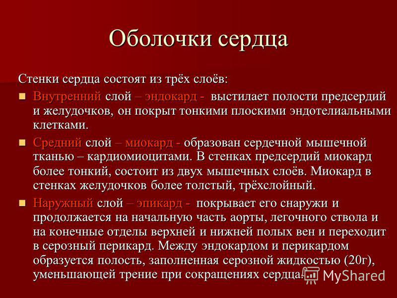 Последовательность расположения оболочек сердца