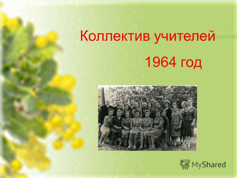 Коллектив учителей 1964 год
