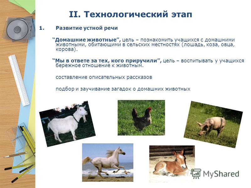 Поделка из соленого теста животных 187