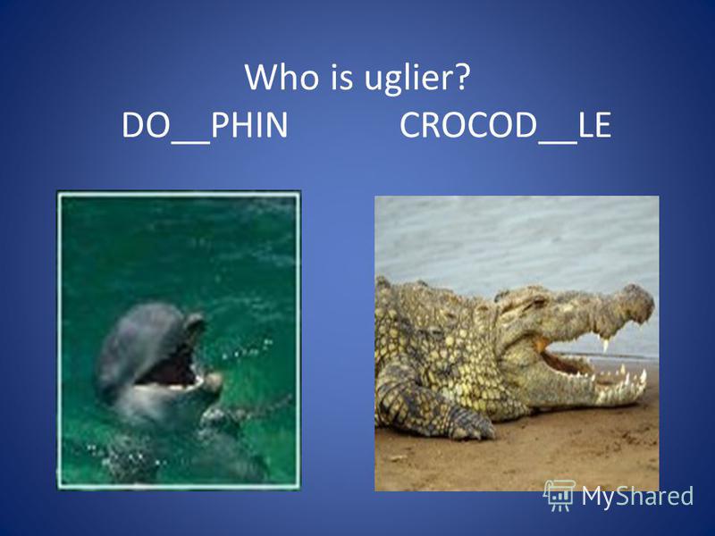 Who is uglier? DO__PHIN CROCOD__LE