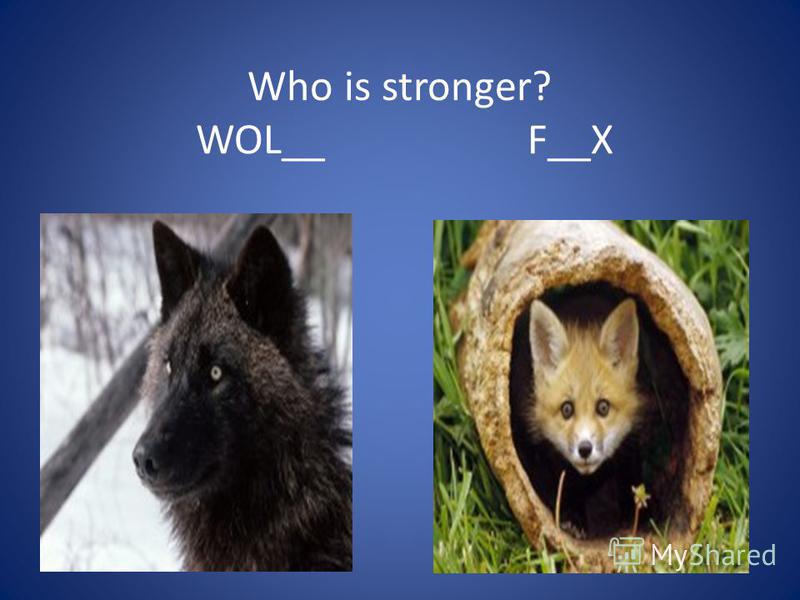 Who is stronger? WOL__ F__X