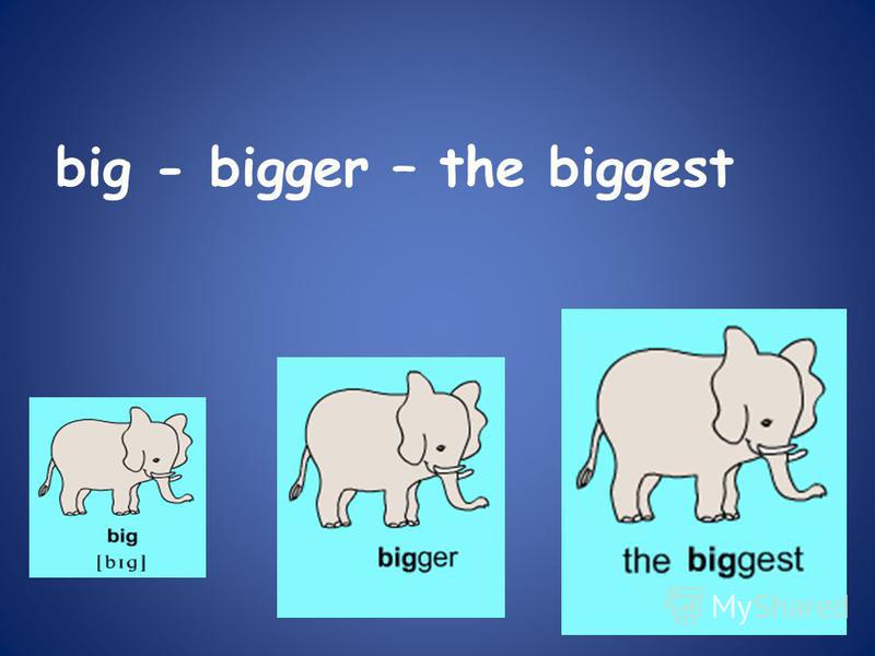 big - bigger – the biggest