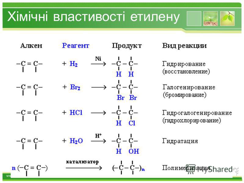 www.themegallery.com Хімічні властивості етилену 1.Горіння (з виділенням великої кількості теплоти): С 2 Н 4 + 3O 2 2СО 2 +2Н 2 О 2. Реакції приєднання по місцю розриву π - звязку: СН 2 = СН 2 а) гідрування - приєднання водню: С 2 Н 4 + Н 2 С 2 Н 6 б