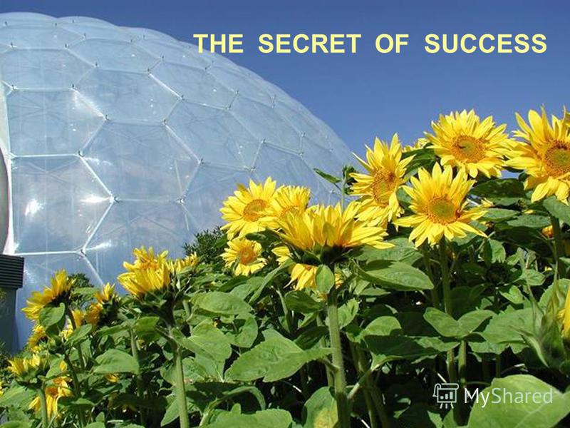 THE SECRET OF SUCCESS