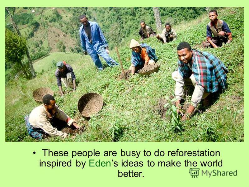 These people are busy to do reforestation inspired by Edens ideas to make the world better.