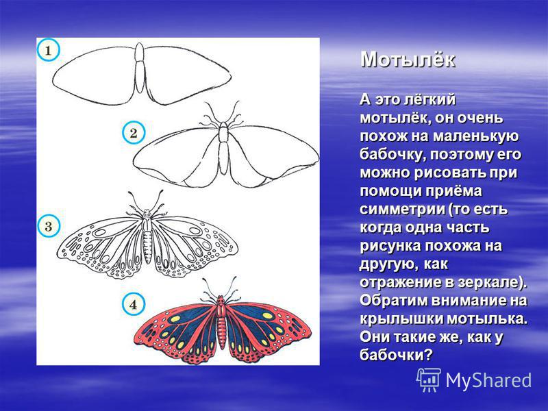 Мотылёк А это лёгкий мотылёк, он очень похож на маленькую бабочку, поэтому его можно рисовать при помощи приёма симметрии (то есть когда одна часть рисунка похожа на другую, как отражение в зеркале). Обратим внимание на крылышки мотылька. Они такие ж