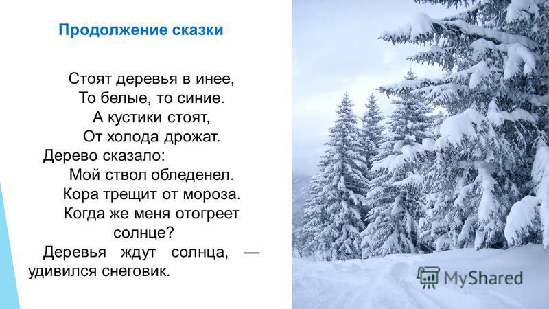 Проект про жизнь деревьев зимой Стихотворение Деревья Зимою - 44 фото