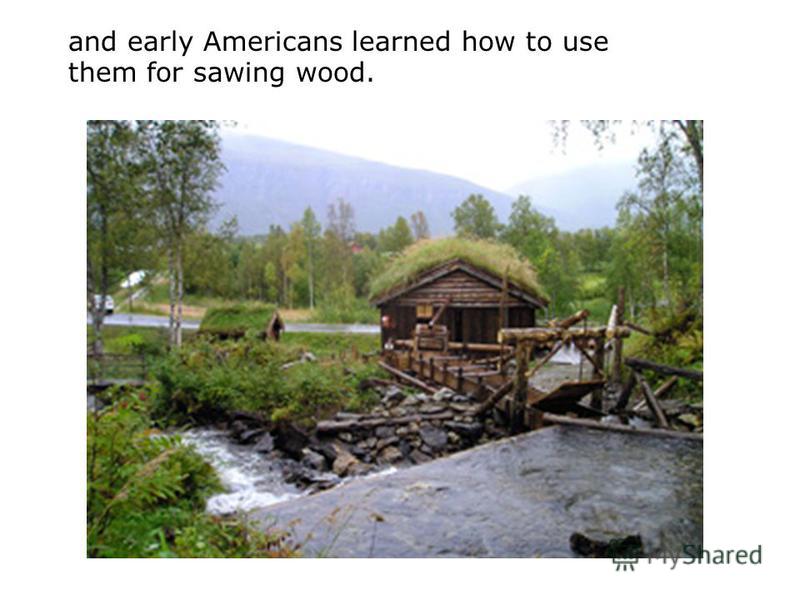 and early Americans learned how to use them for sawing wood.